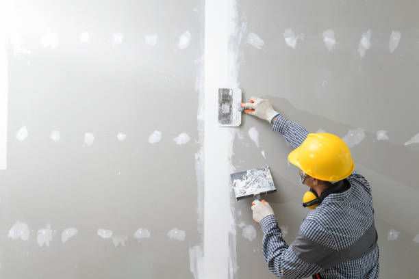 Best Mold Damage Restoration  in Albany, IN
