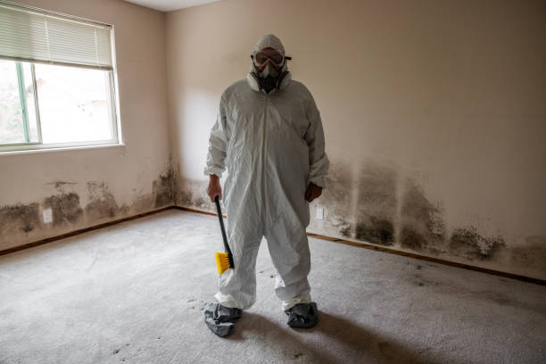 Best Emergency Mold Remediation  in Albany, IN