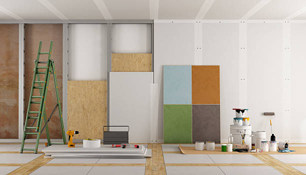 Best Black Mold Removal  in Albany, IN