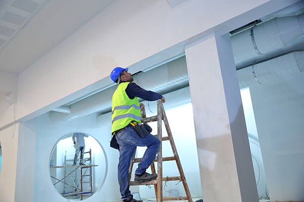 Best Mold Documentation for Insurance Claims  in Albany, IN
